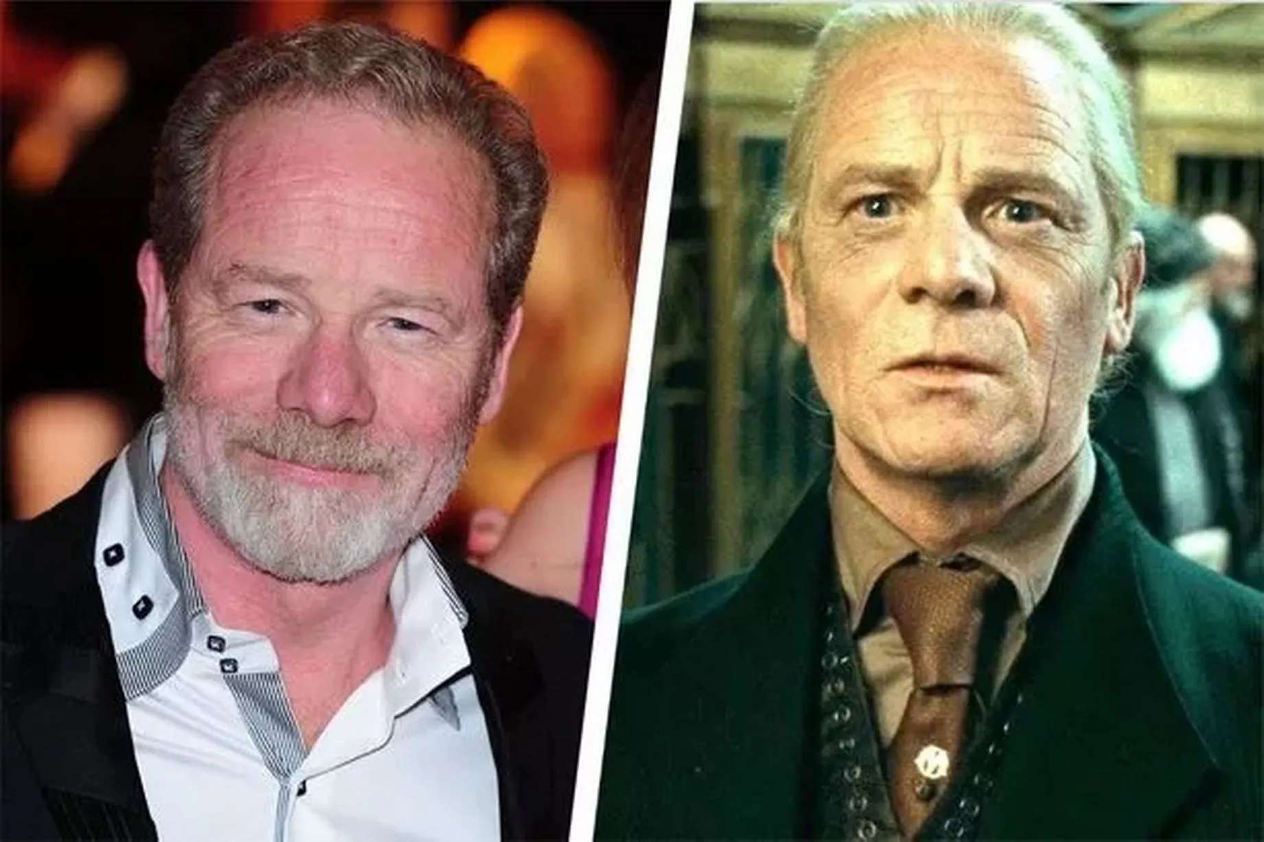el actor de harry potter que habló mal de la saga