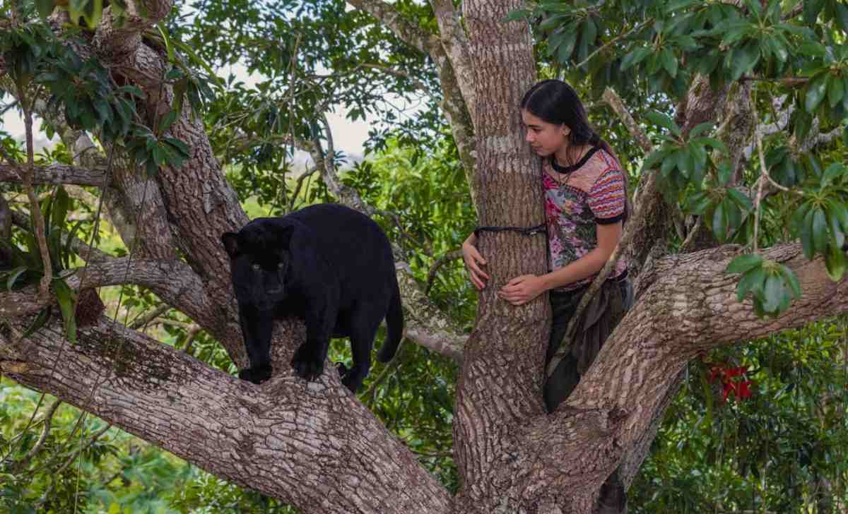 Crítica a Emma y el Jaguar Negro: una mirada inocente y distinta emma y el jaguar negro, 2024