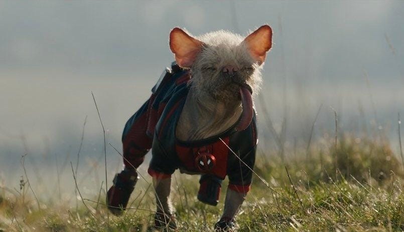 Dogpool - Deadpool & Wolverine