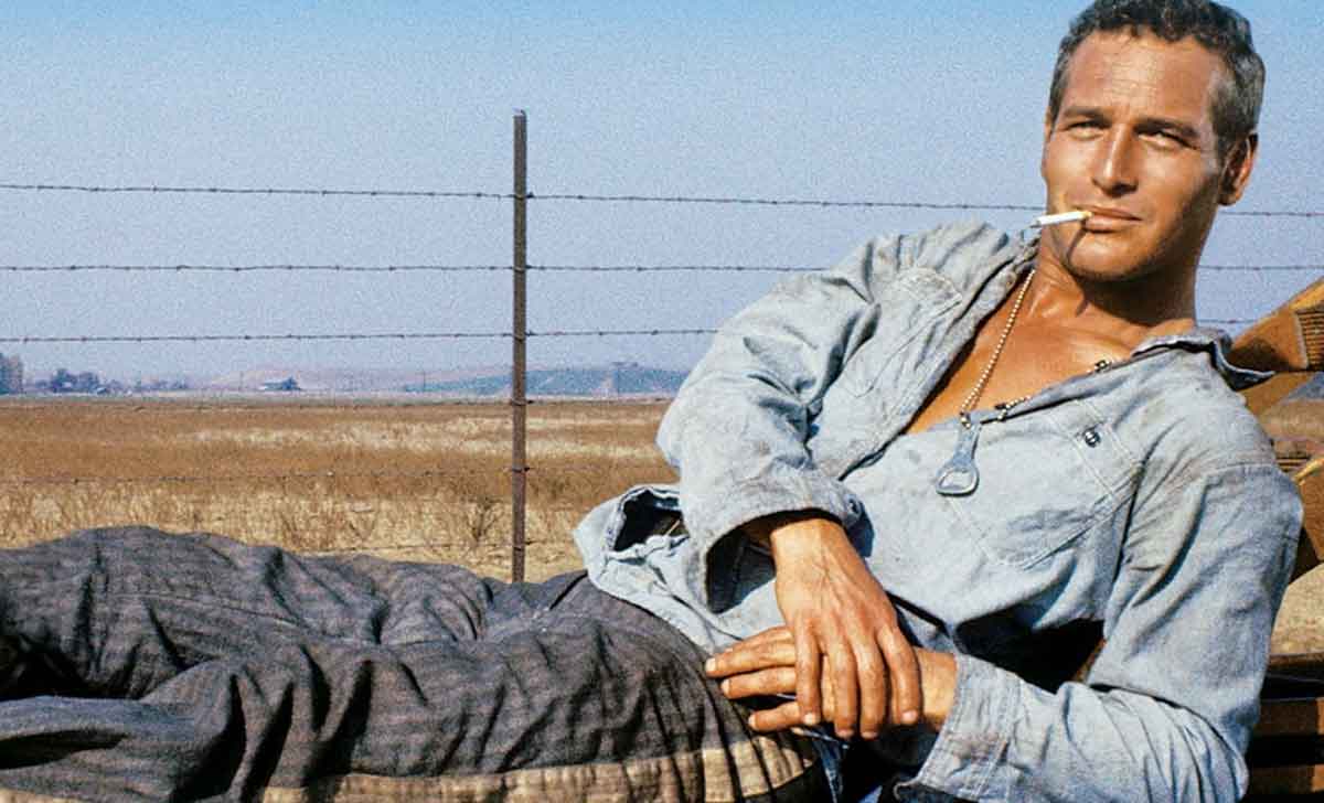 La Leyenda del Indomable: Análisis del 4K Ultra HD + Blu-Ray la leyenda del indomable 4k uhd