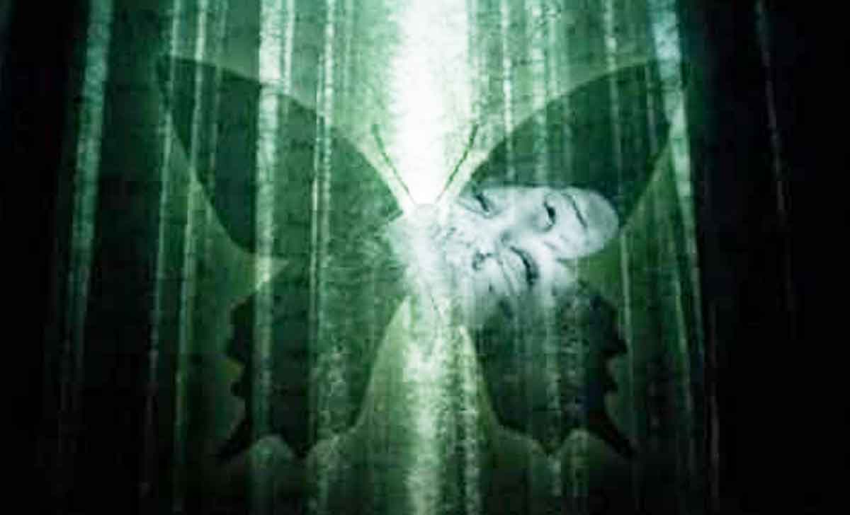 Fans de Star Wars atacan a una película de 2008 que no tiene nada que ver con la saga acolytes de 2008