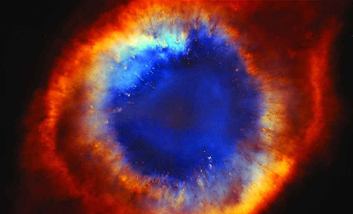 El árbol de la vida (2011)