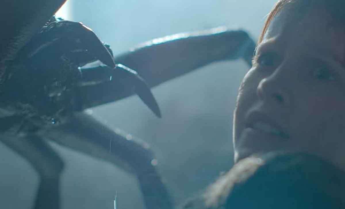 sting. araña asesina (2024)