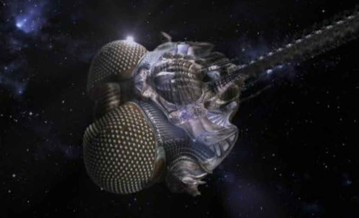 serie de ciencia ficción: lexx