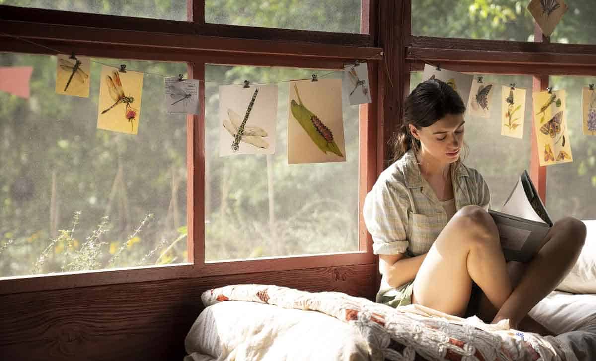 Netflix La chica salvaje (Where the Crawdads Sing) 2022