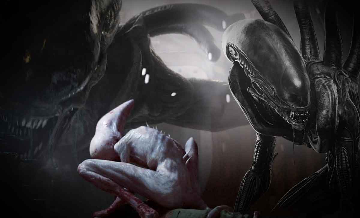 Saga Alien ¡Este es el Xenomorfo más poderoso! saga alien ¡este es el xenomorfo más poderoso!