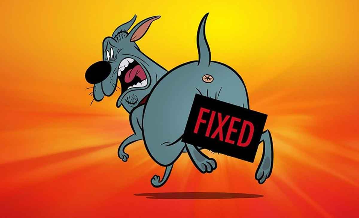 fixed (fijo) de genndy tartakovsky