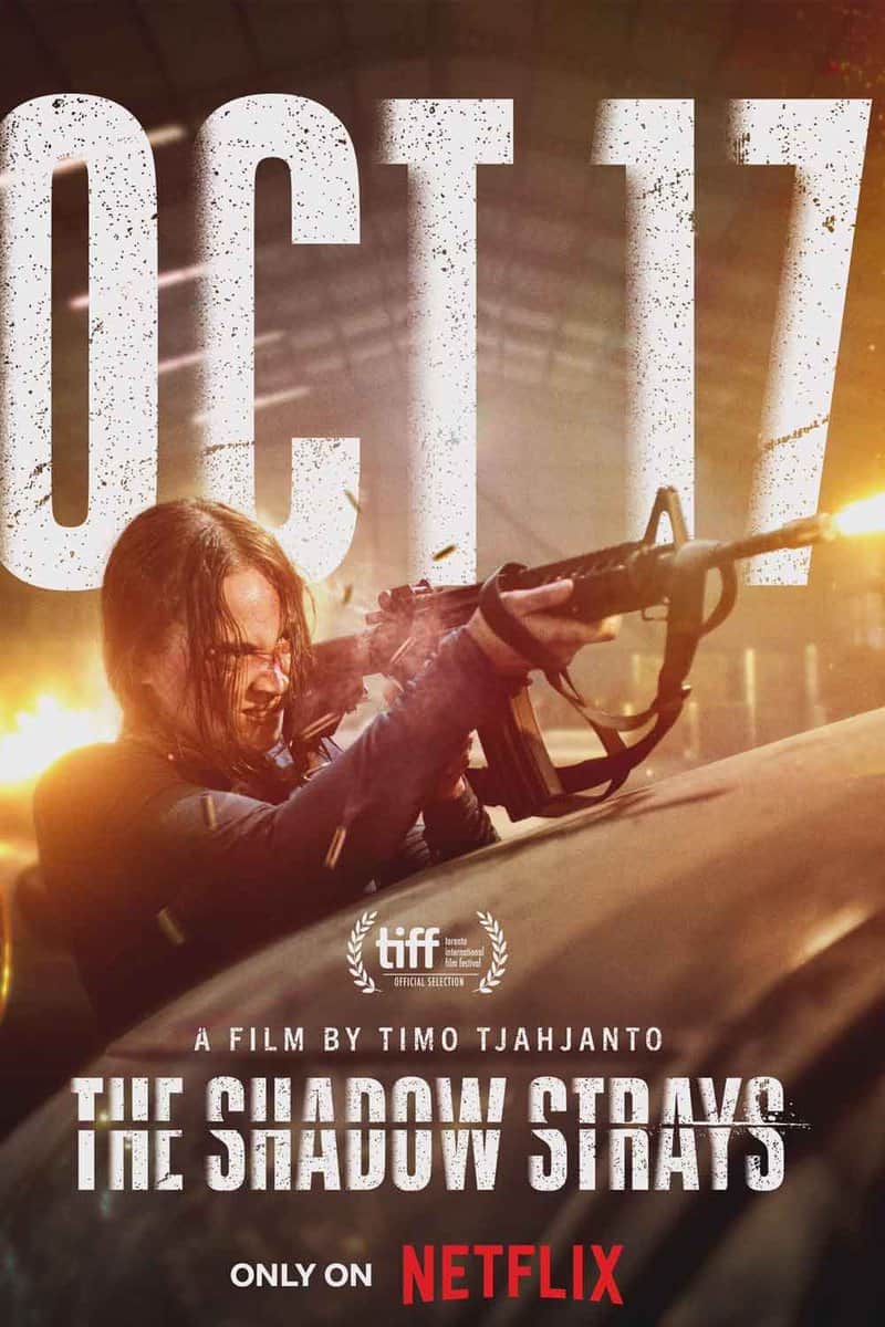 netflix mejor película de acción 2024 the shadow strays