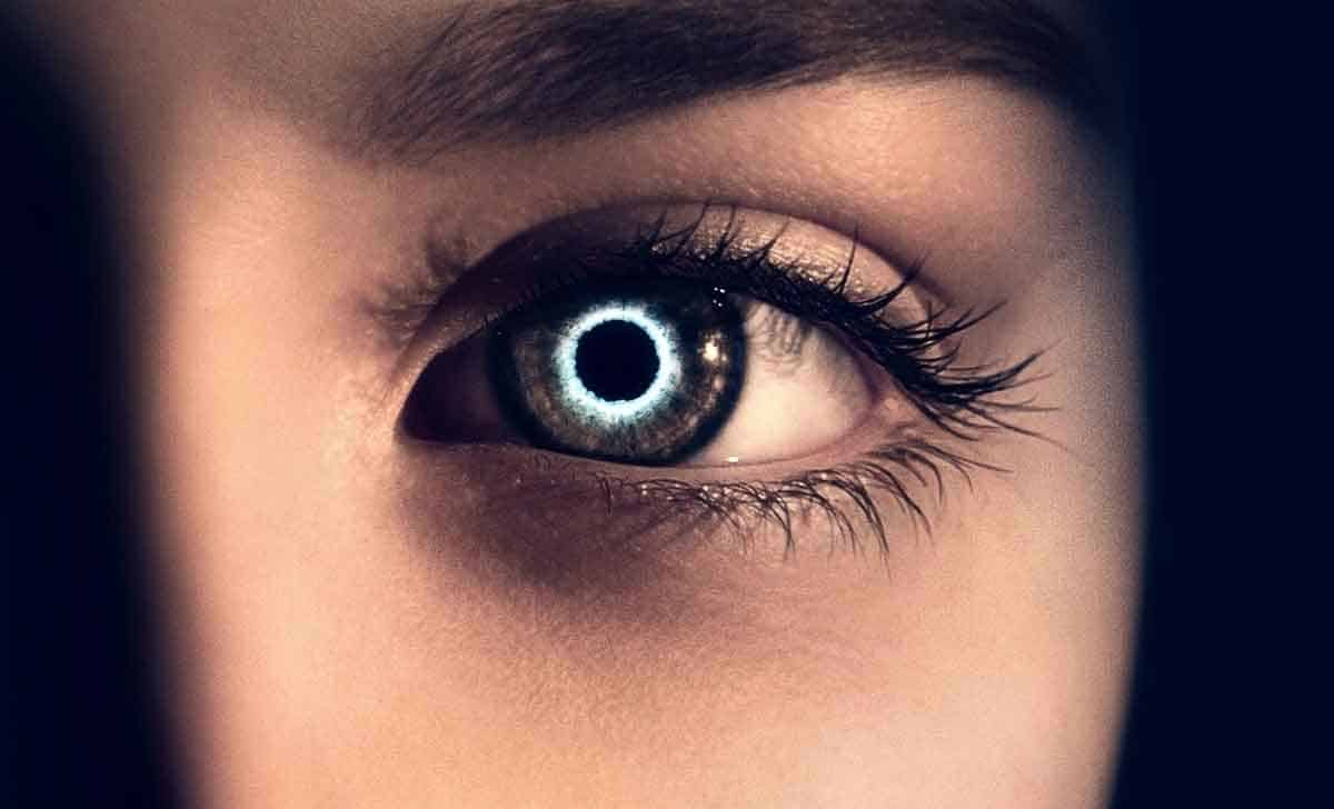 The Host (La huésped) (2013).