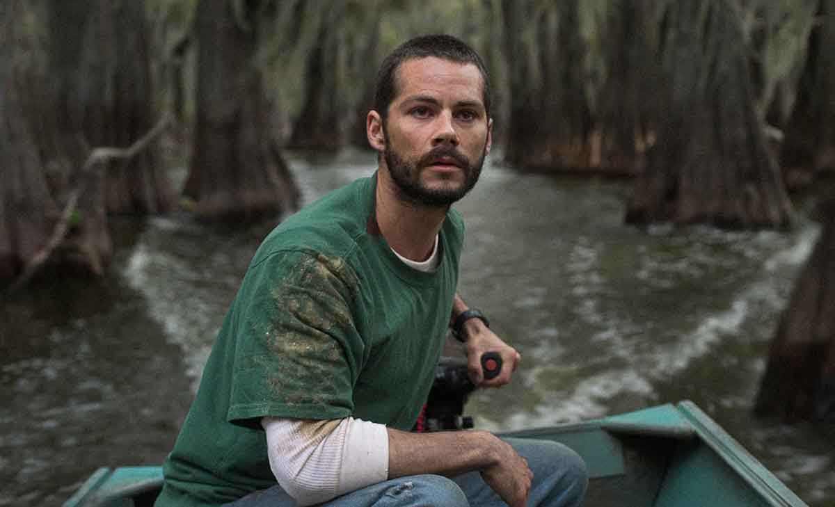 caddo lake explicación al final