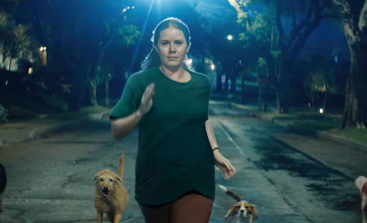 amy adams in nightbitch. photo courtesy of searchlight pictures. © 2024 searchlight pictures all rights reserved.