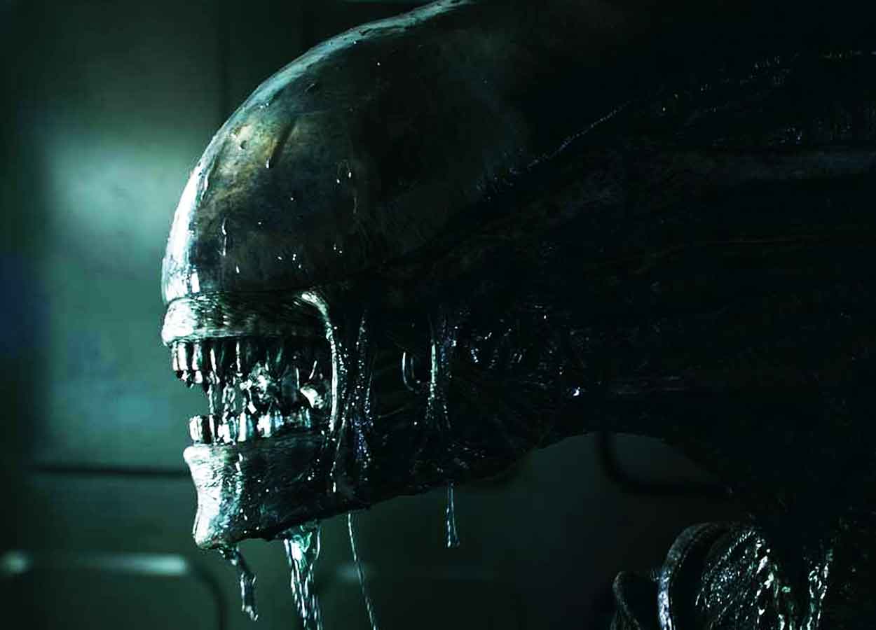alien xenomorfo