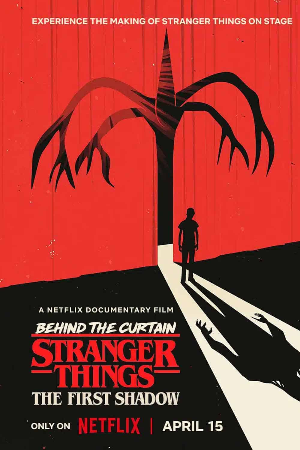 stranger things: the first shadow