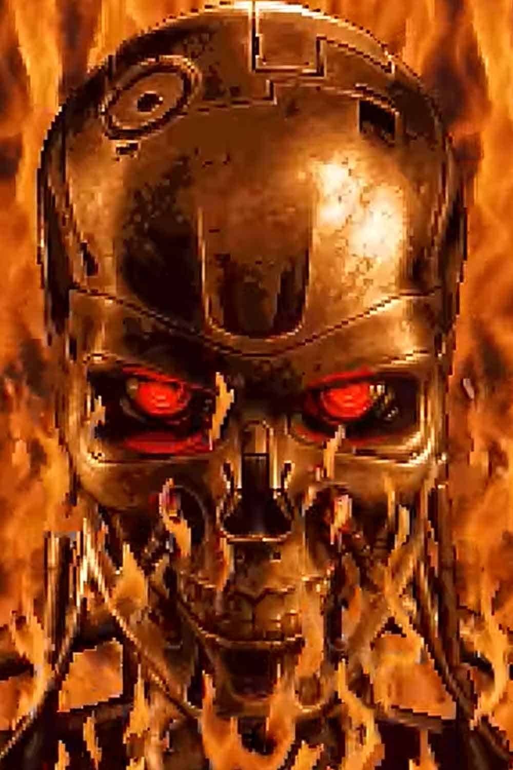 Terminator 2D: No Fate