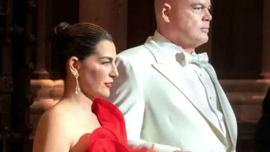 daredevil: born again vanessa y kingpin