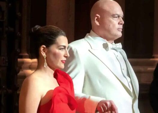 daredevil: born again vanessa y kingpin