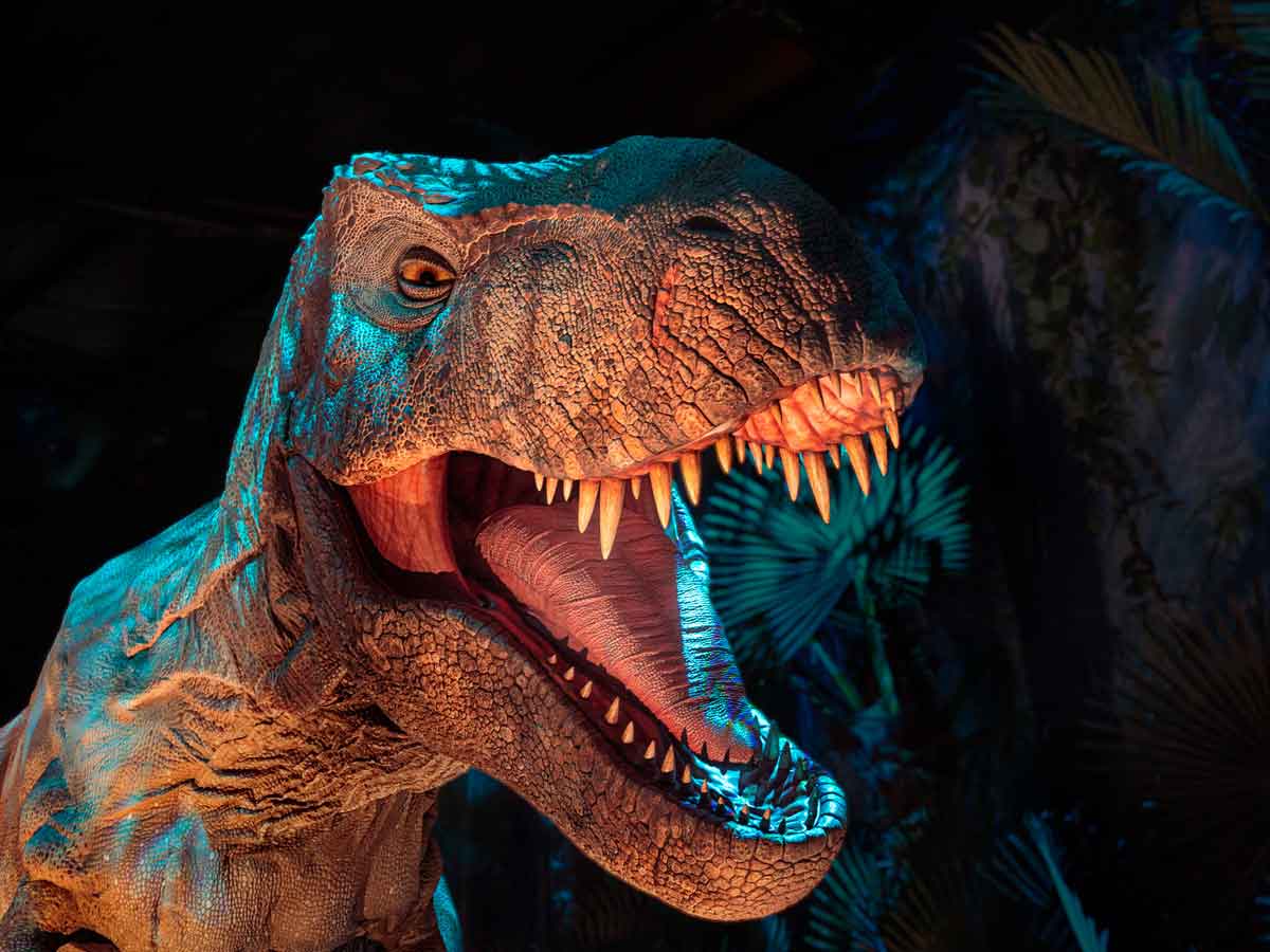 🔥 llega a madrid la exposición de jurassic world que ha arrasado en todo el mundo