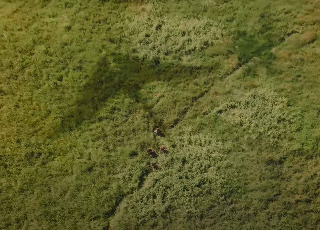 película de ciencia ficción Primitive War