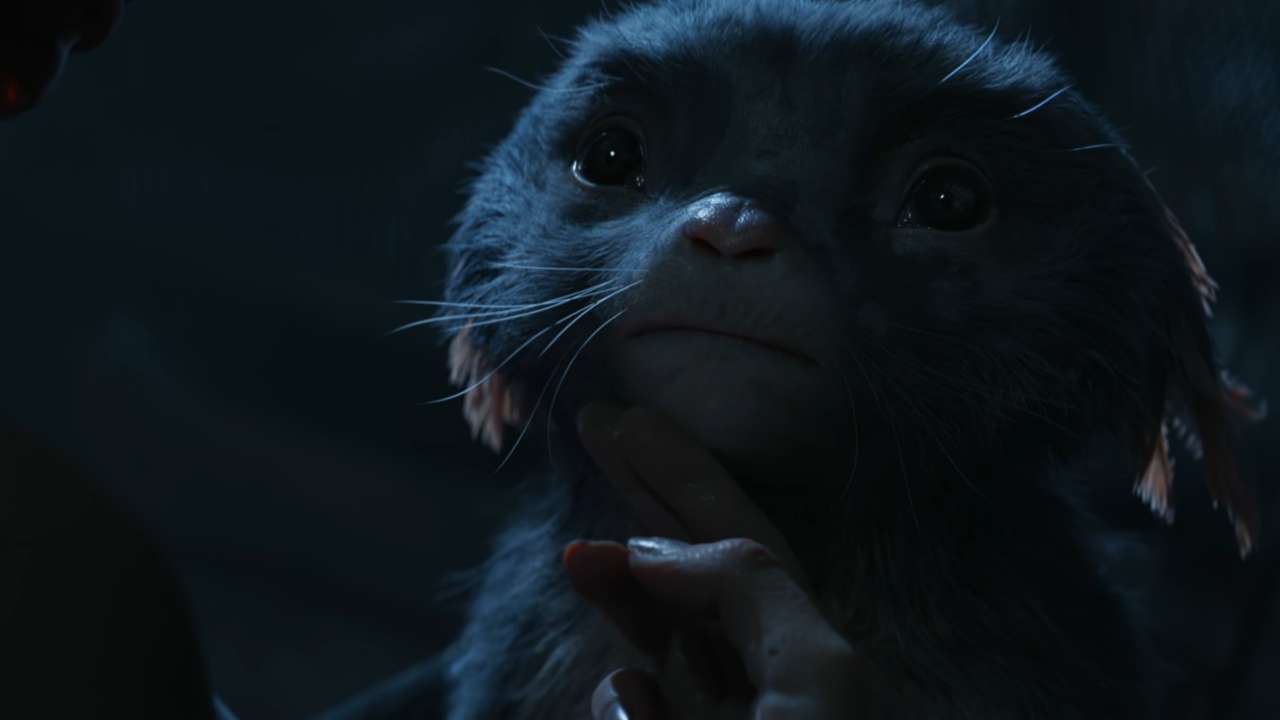 Nose Spider Rose -Love Death + Robots