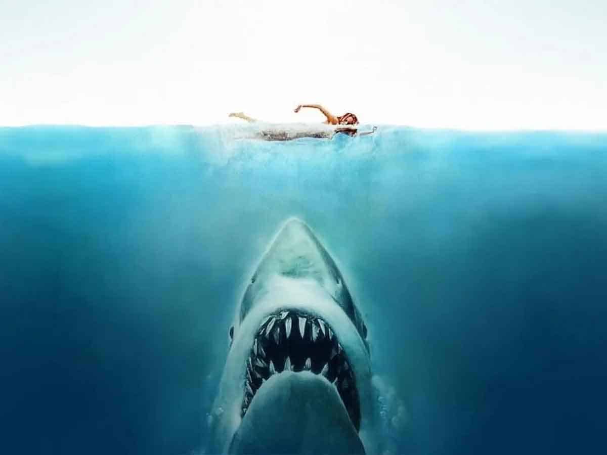 tiburón (1975) pelicula