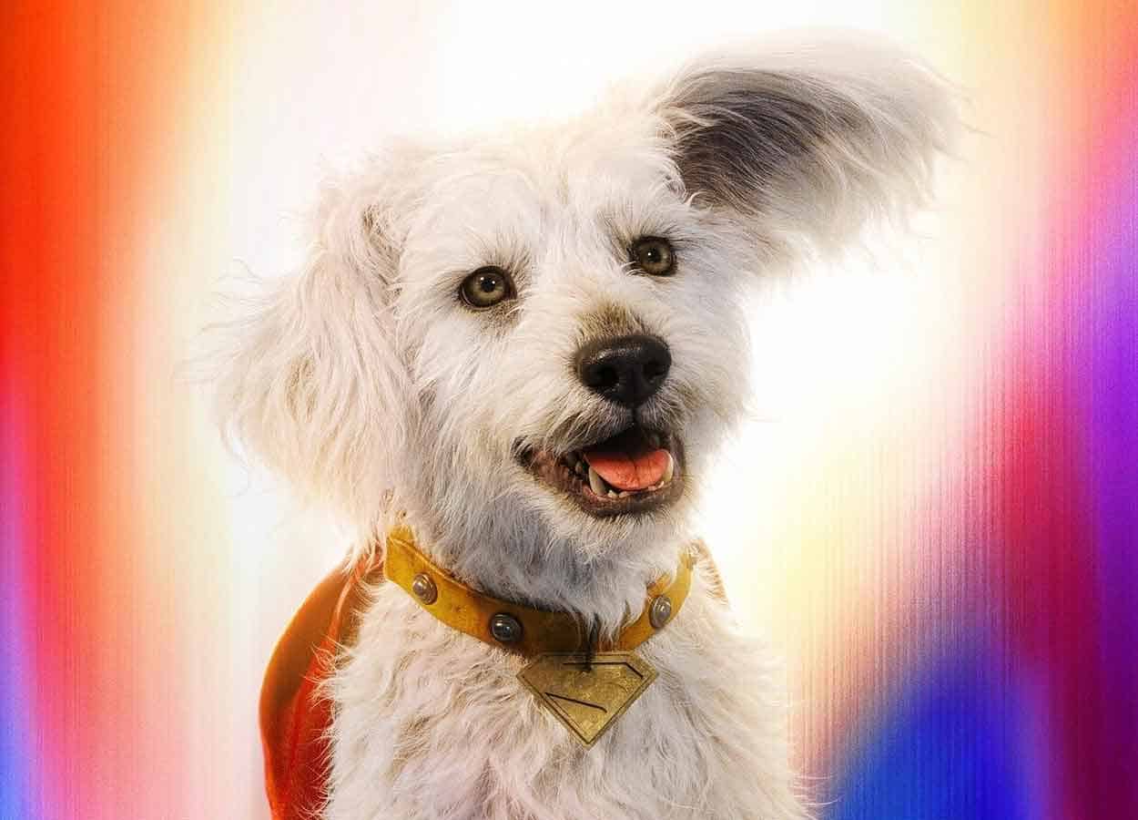 superman (2025) revela lo que krypto le hace a los abominables hombres de las nieves