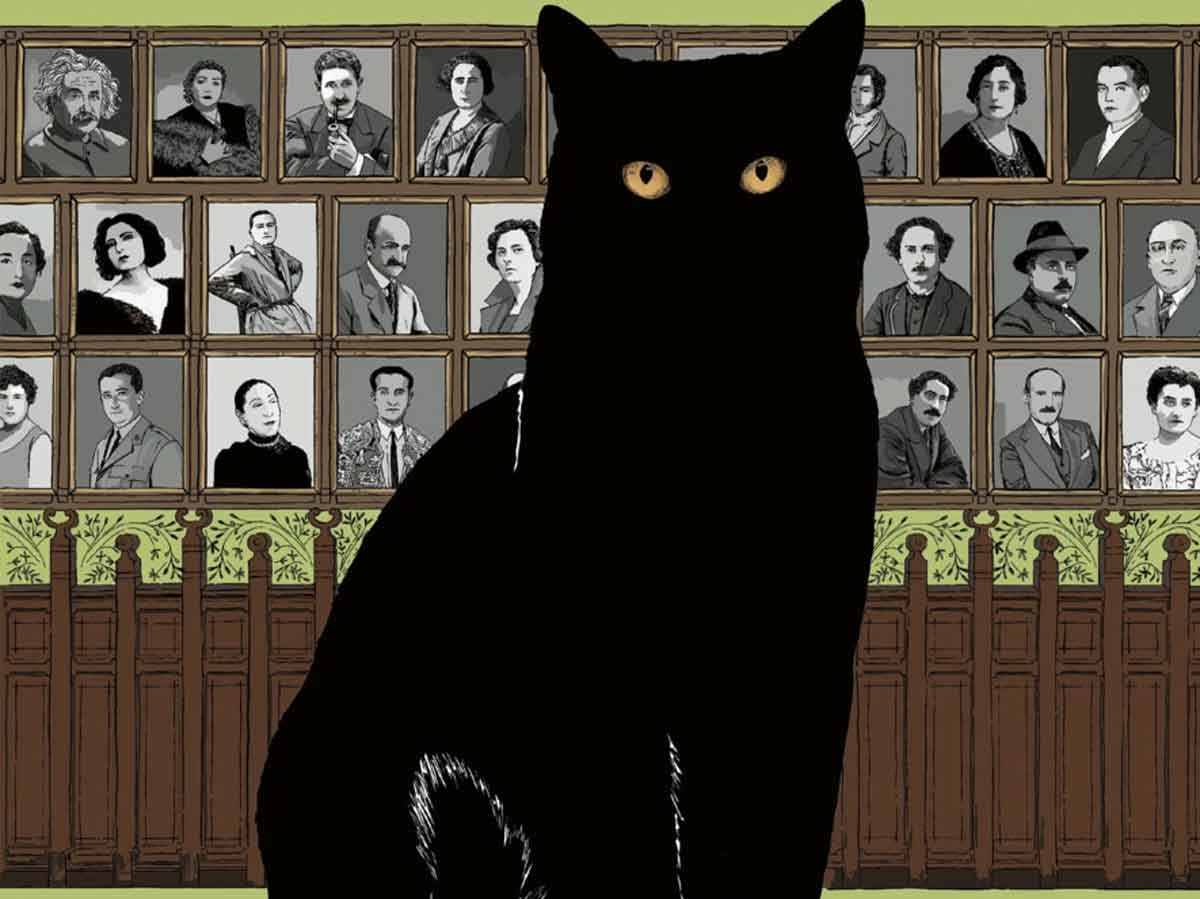 el gato más culto del mundo