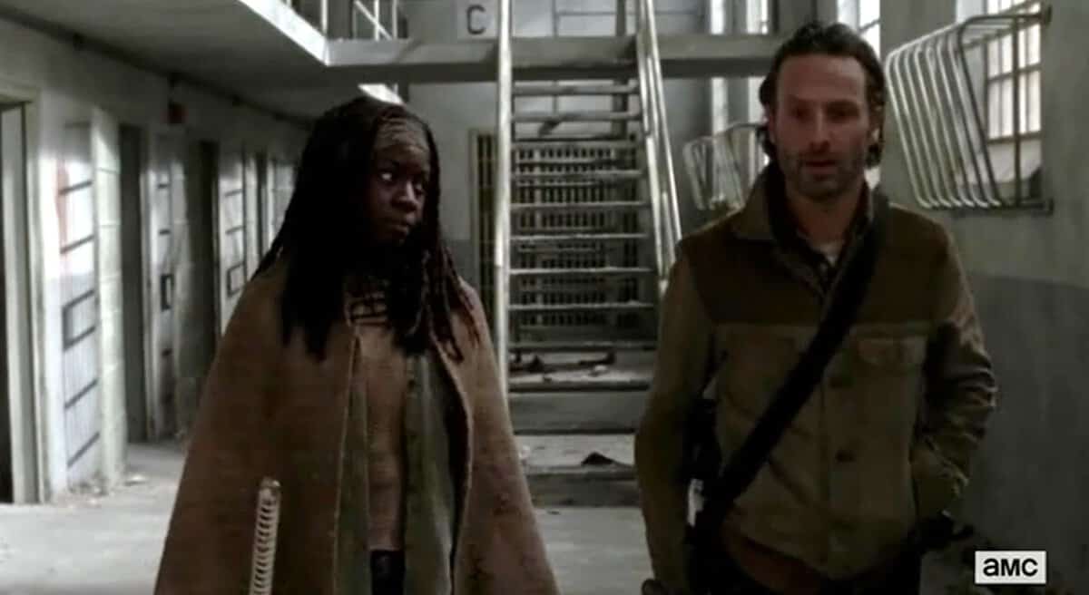 Rick y Michonne The walking Dead
