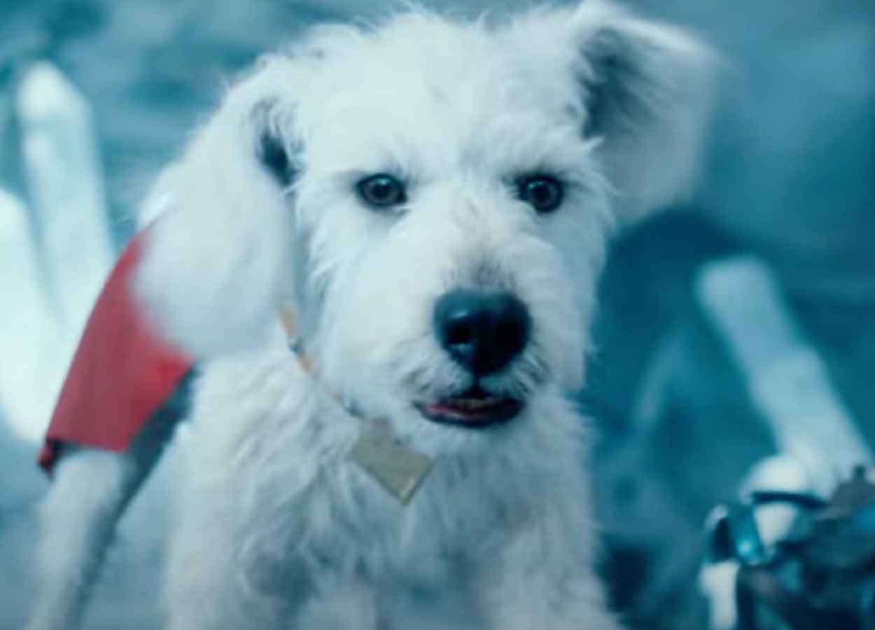 superman corta escena krypto