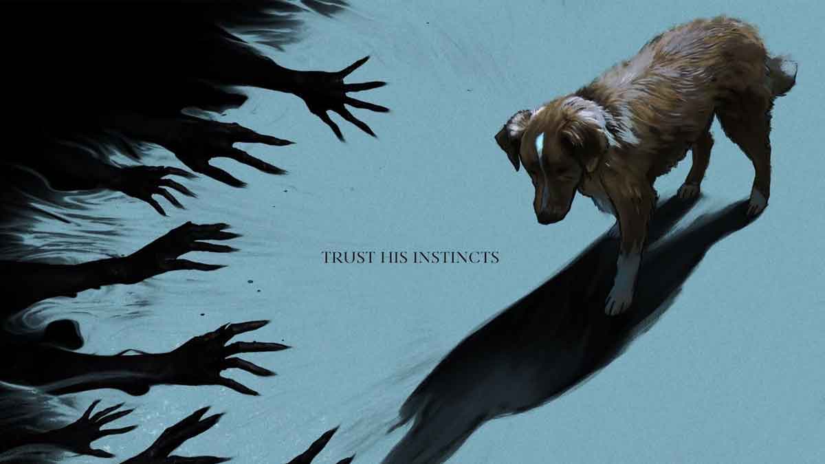 película de terror good boy