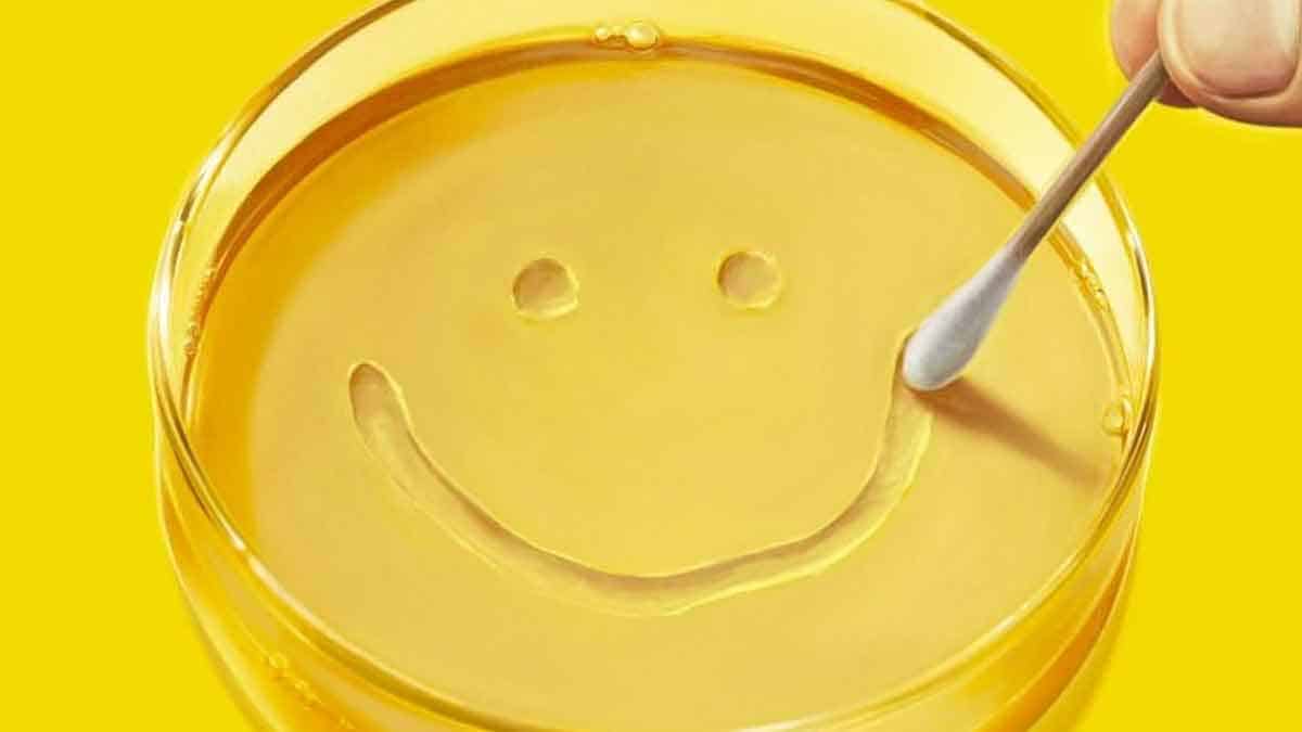 El creador de Breaking Bad presenta misteriosa serie de ciencia ficción pluribus serie de ciencia ficción