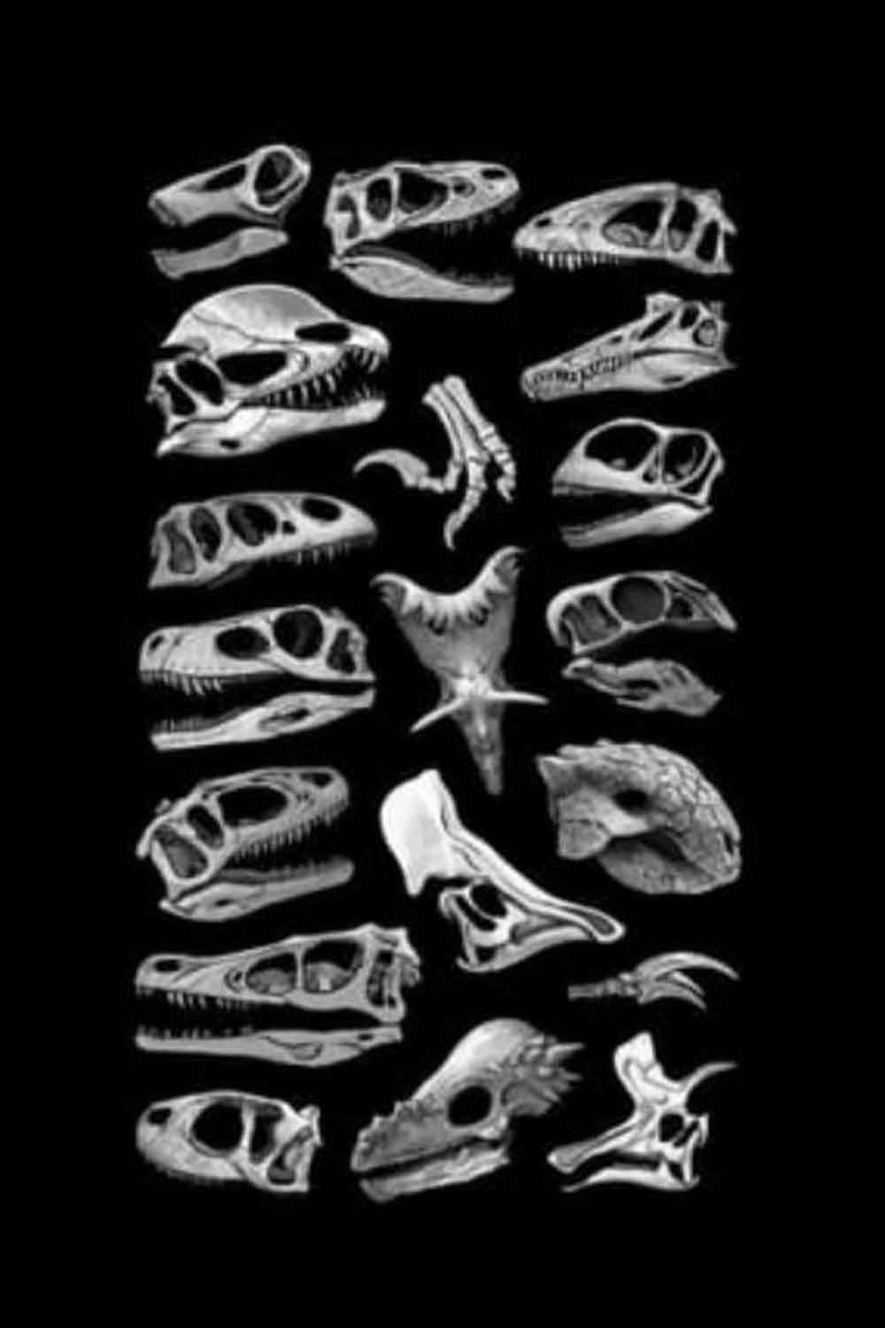 película de ciencia ficción de j.j. abrams flowervale street