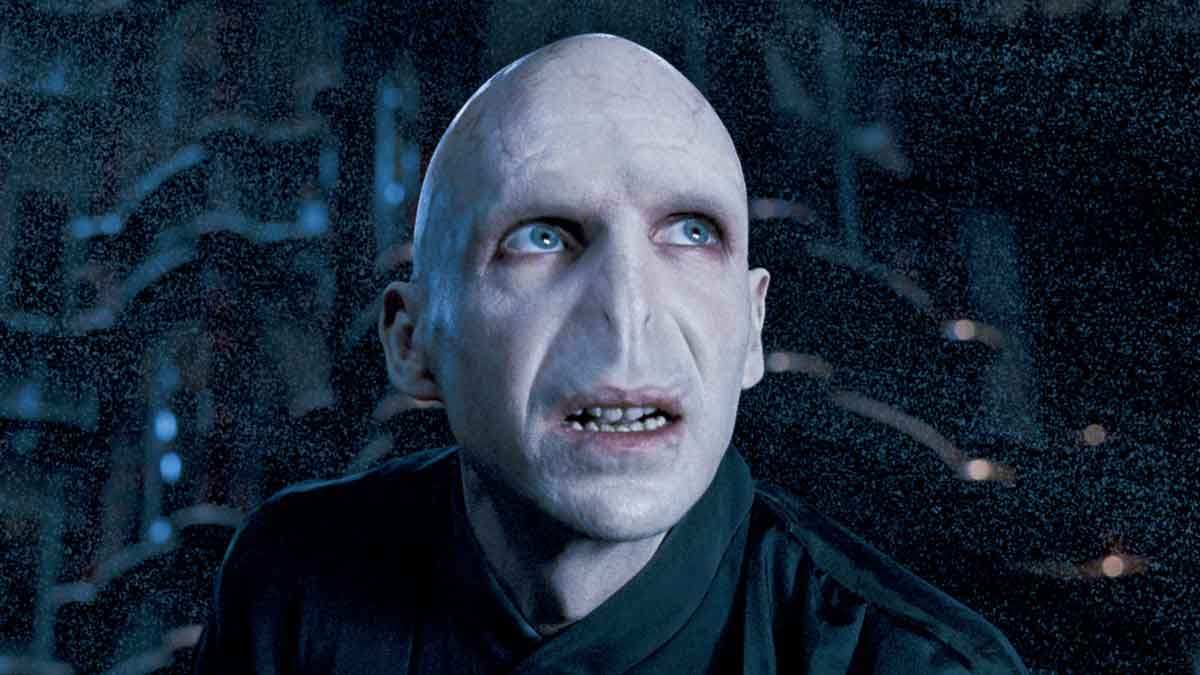 voldemort harry potter