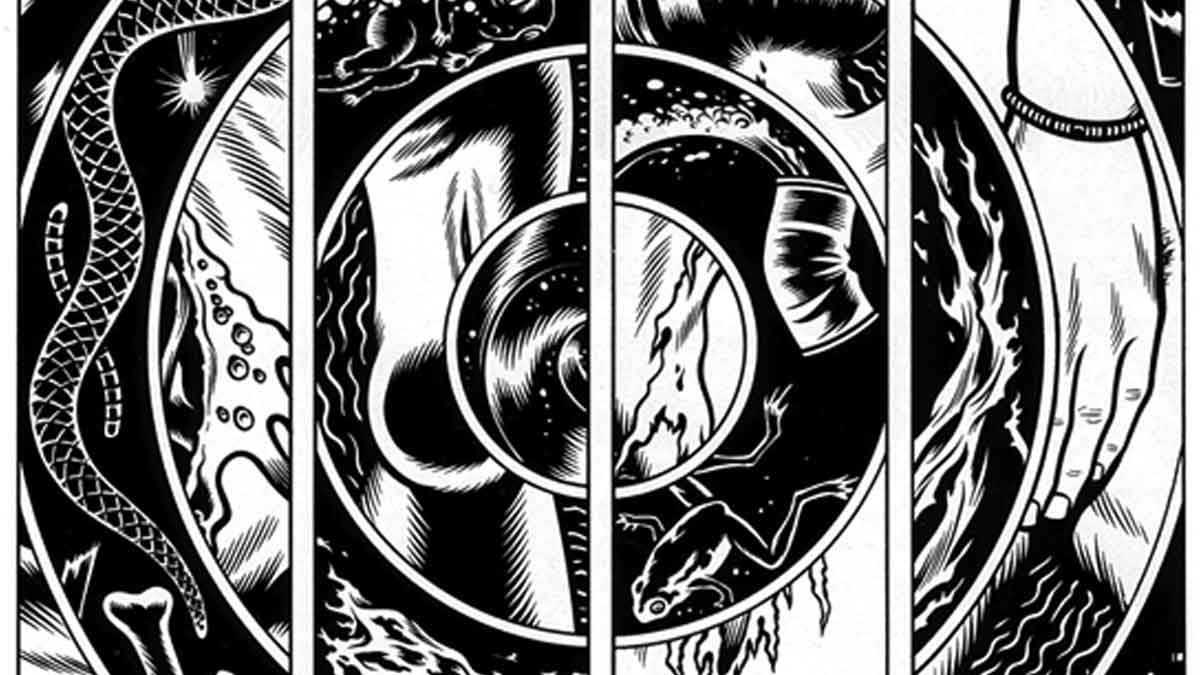 black hole de charles burns