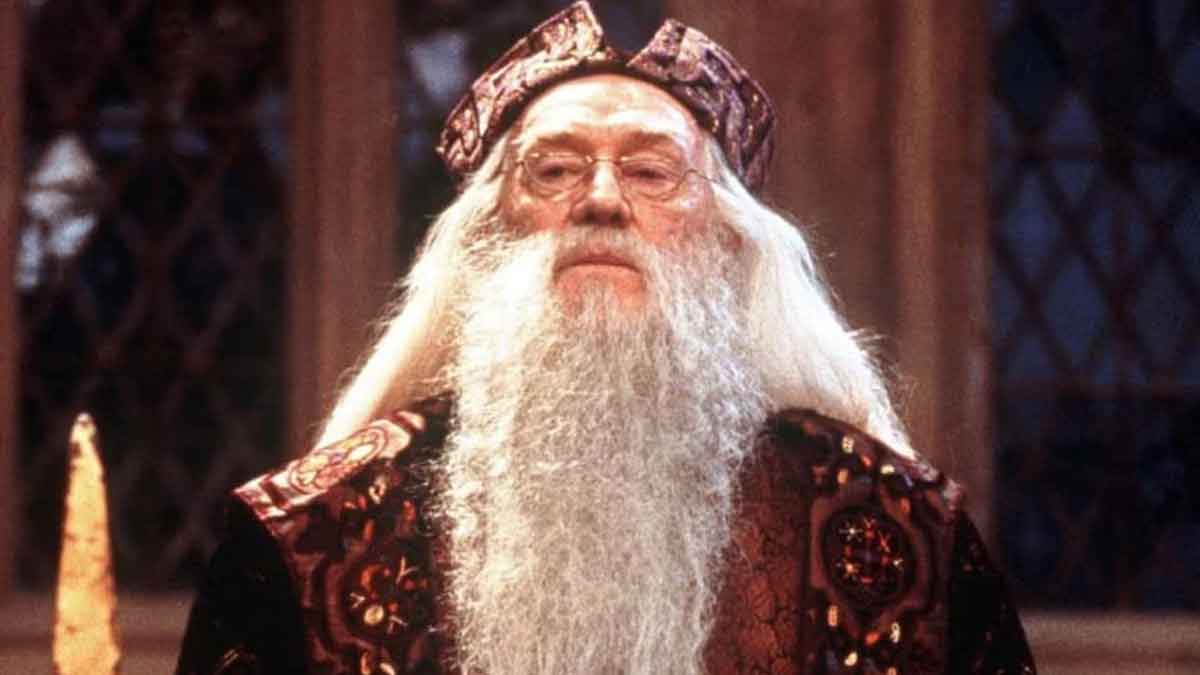 dumbledore harry potter