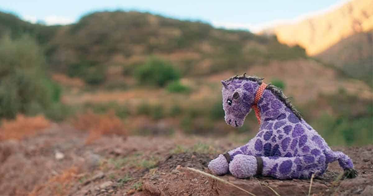 Una-jirafa-en-el-balcón