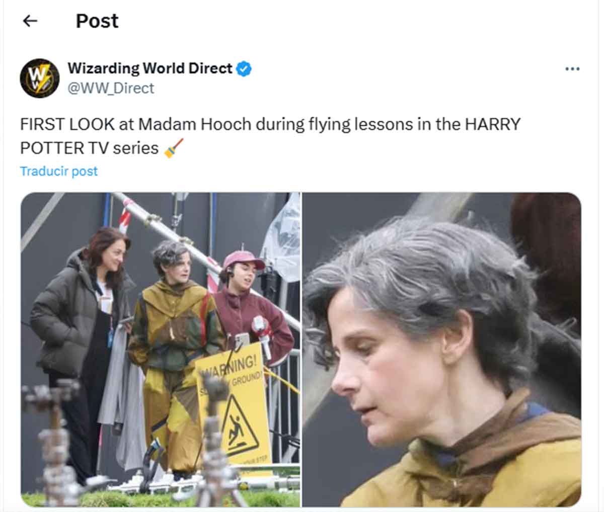 Madam Hooch serie de Harry Potter