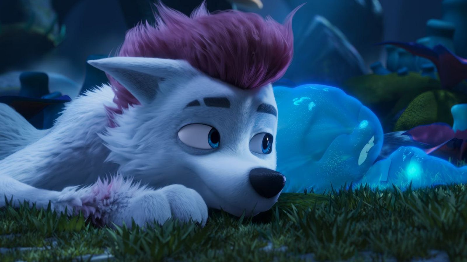 200% wolf: pequeño gran lobo