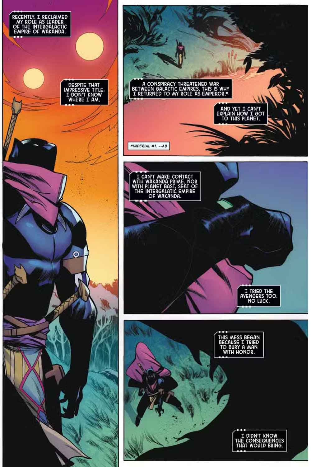 black panther intergalactic