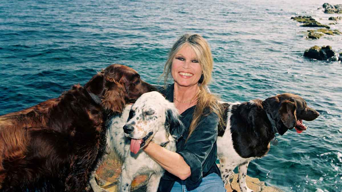 brigitte bardot. música, activismo y una nueva notoriedad