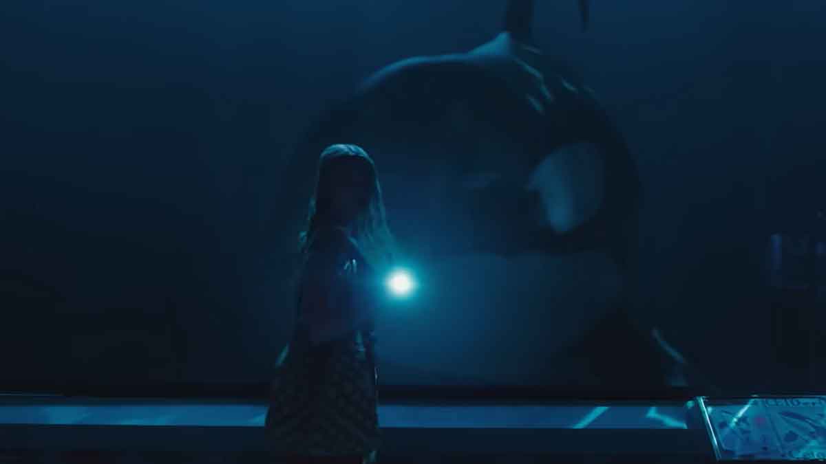 tráiler de killer whale
