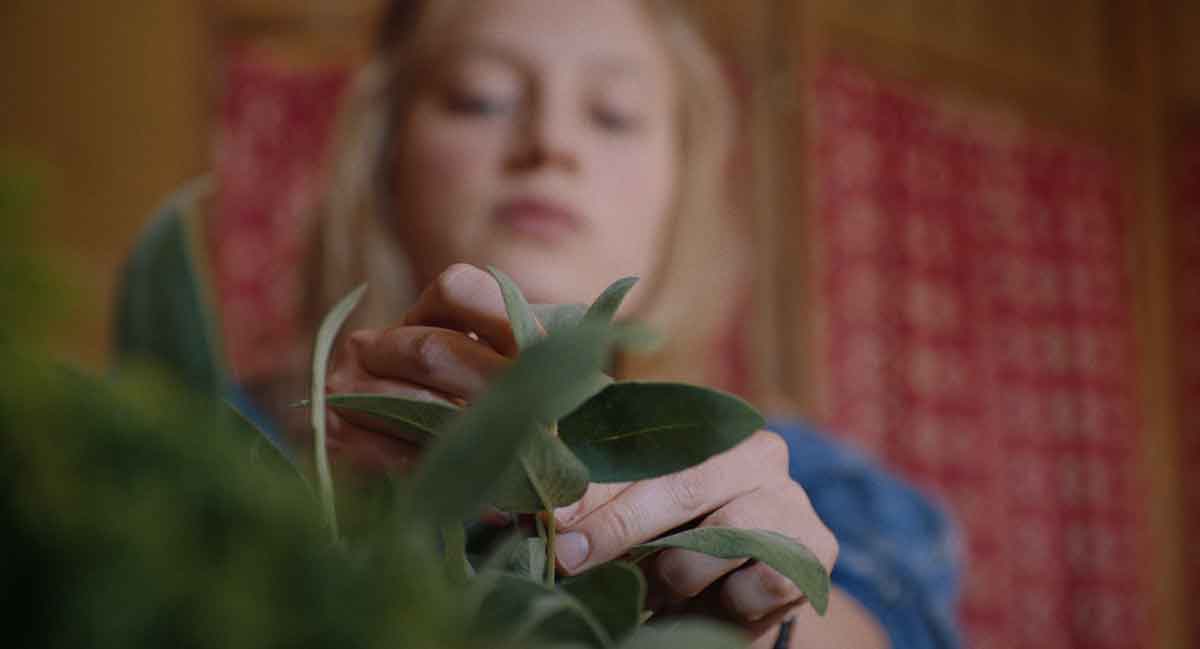 la isla de la belladona, una fábula futurista tan bella como inquietante