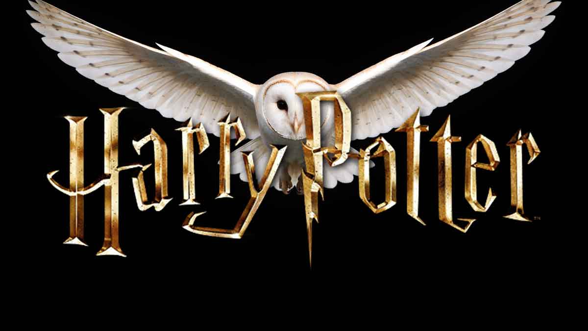 serie de harry potter