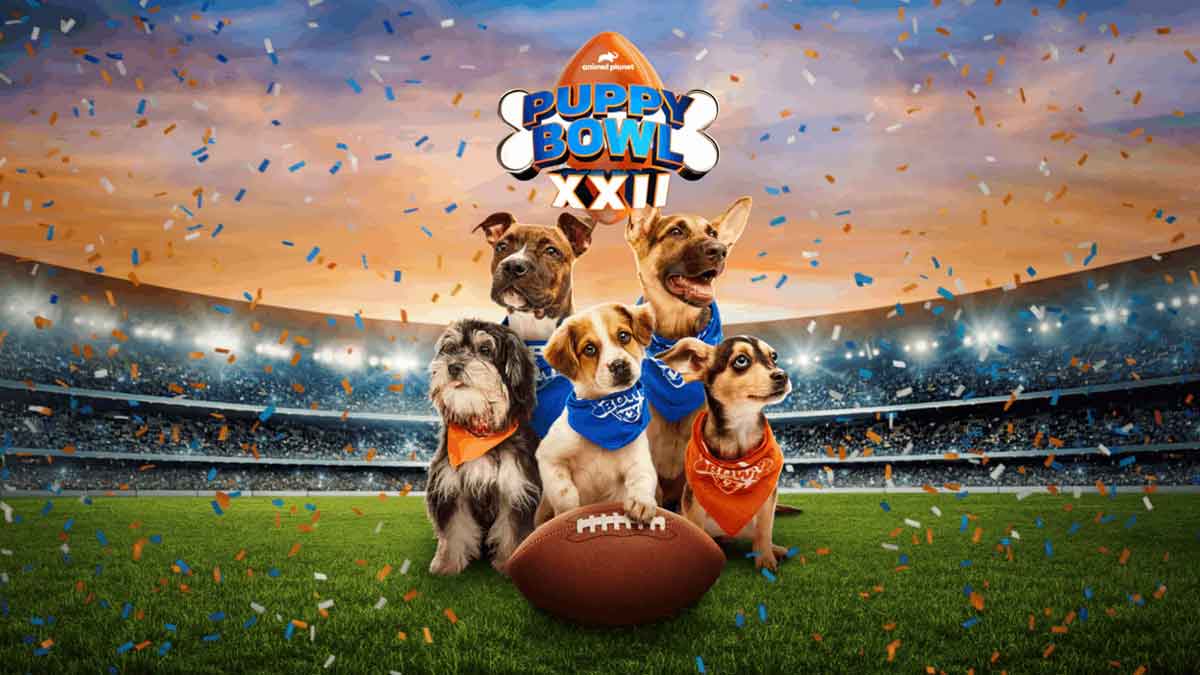 puppy bowl 2026