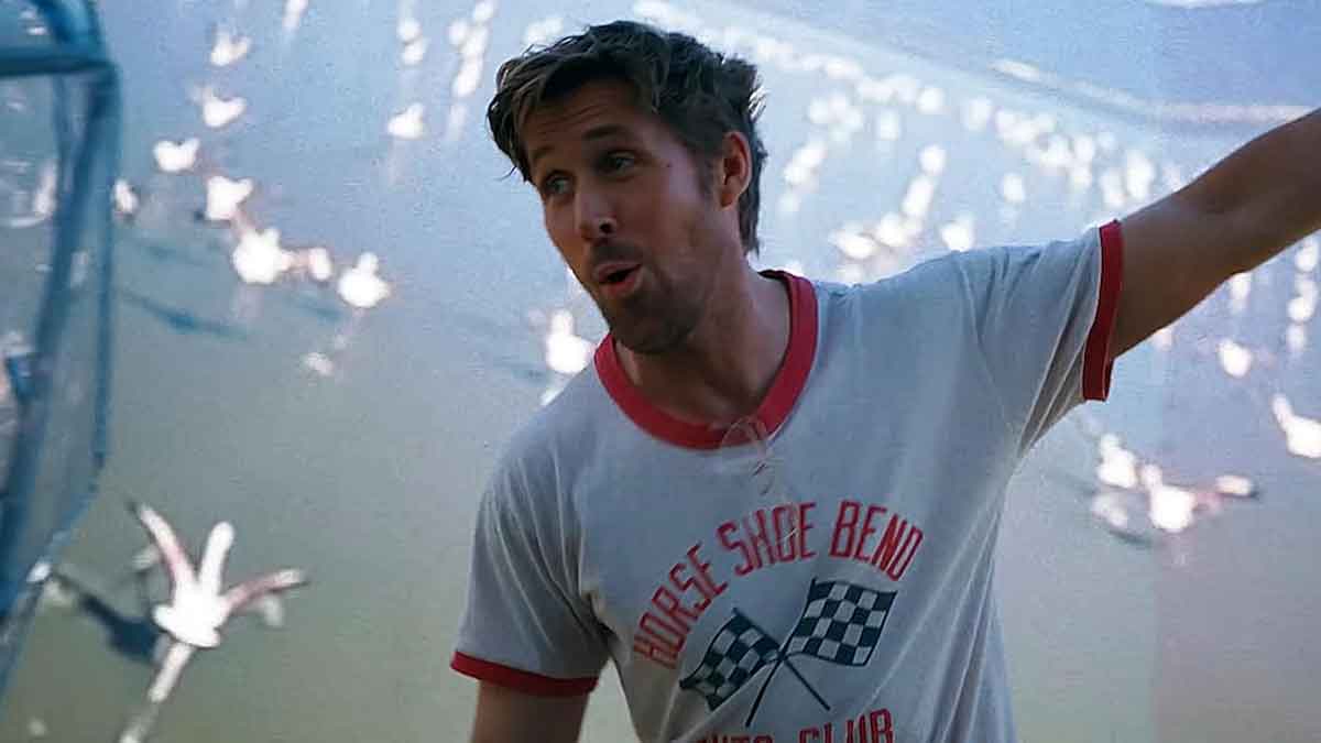 proyecto salvaci&oacute;n