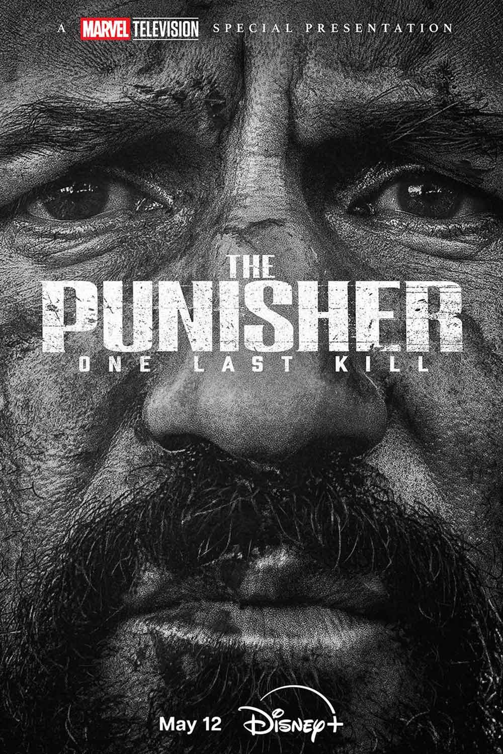 the punisher: one last kill