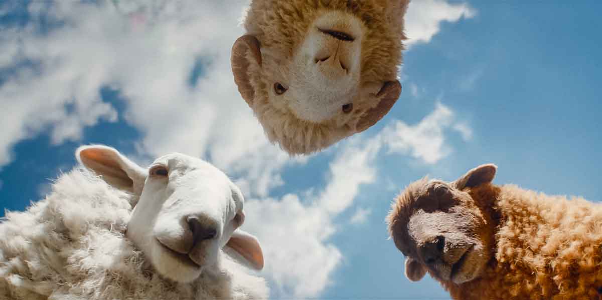 hugh jackman sorprende con el tr&aacute;iler de las ovejas detectives