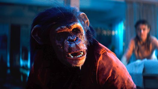 primate blu-ray